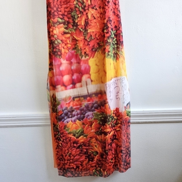 New Zara Picante All Over Print Over The Shoulder Tulle Maxi Dress NWT Small - Picture 10 of 12